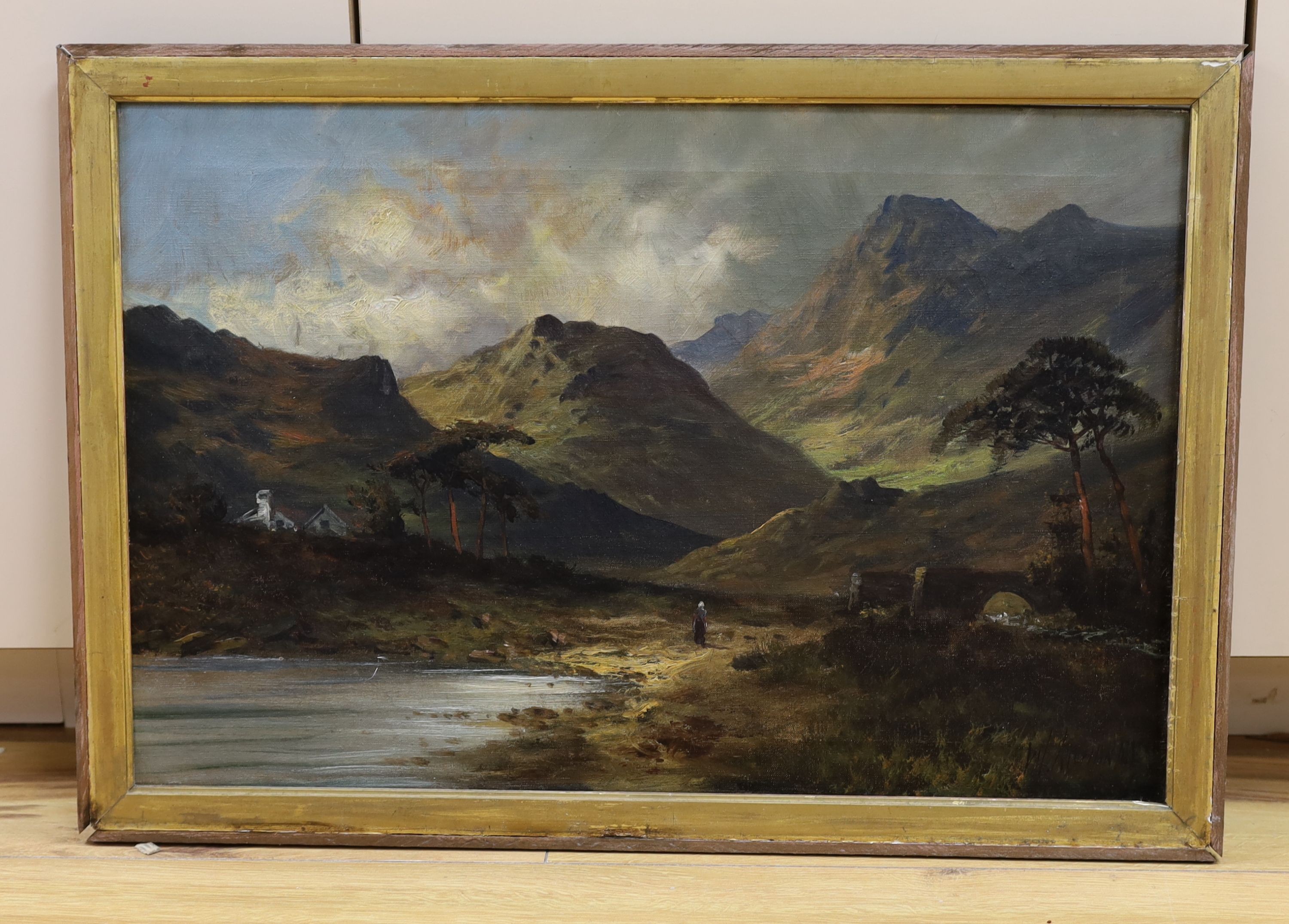 William Richards (Jameson), oil on canvas, Ben Nevis, signed, 40 x 60cm